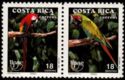 Scarlet Macaw (Ara macao), Great Green Macaw (Ara ambigua)